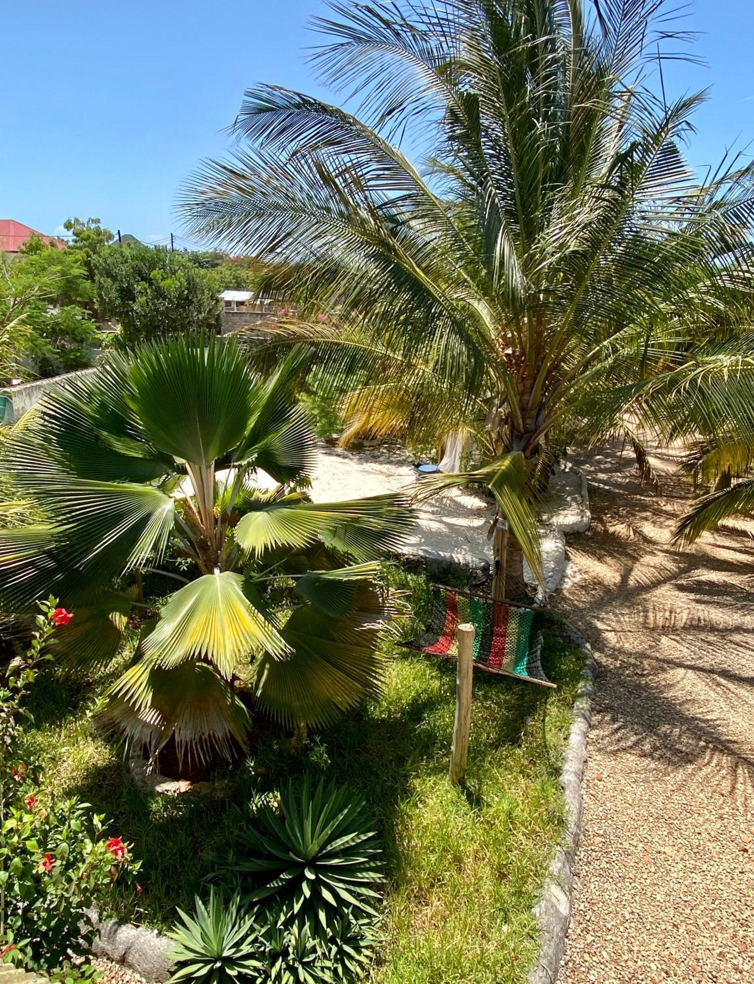 نونغوي Darwesh Nyumba Lodge المظهر الخارجي الصورة